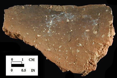 Potomac Creek cord-wrapped stick decorated rim sherd, from the Farmington Landing site 18PR4/SUR, interior surface.